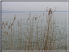 foto Lago di Garda